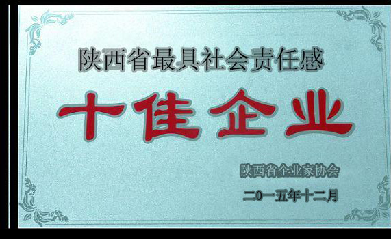 陕西省较具社会责任感十佳企业
